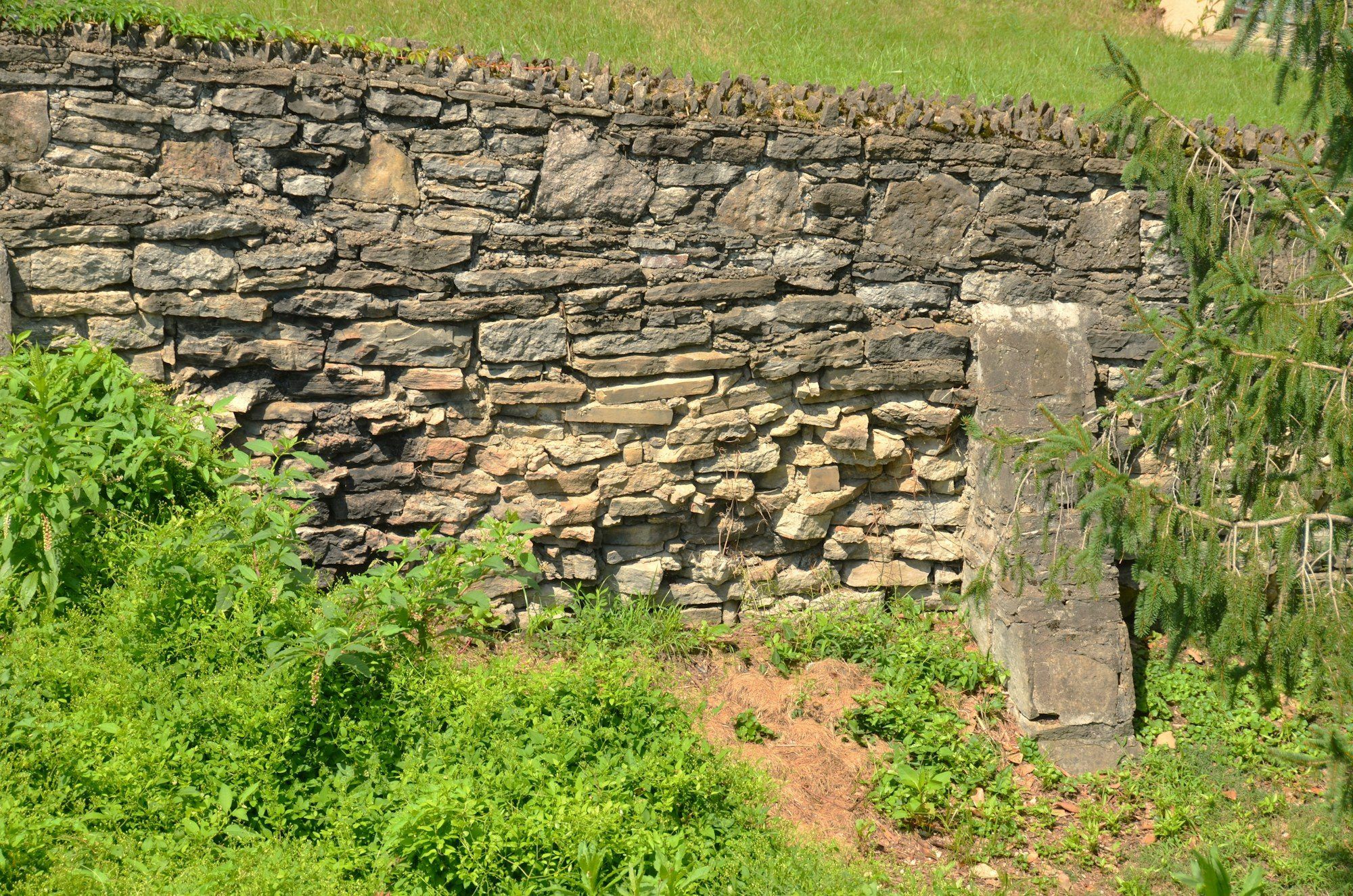 Old stone garden wall with grass and plants along its base