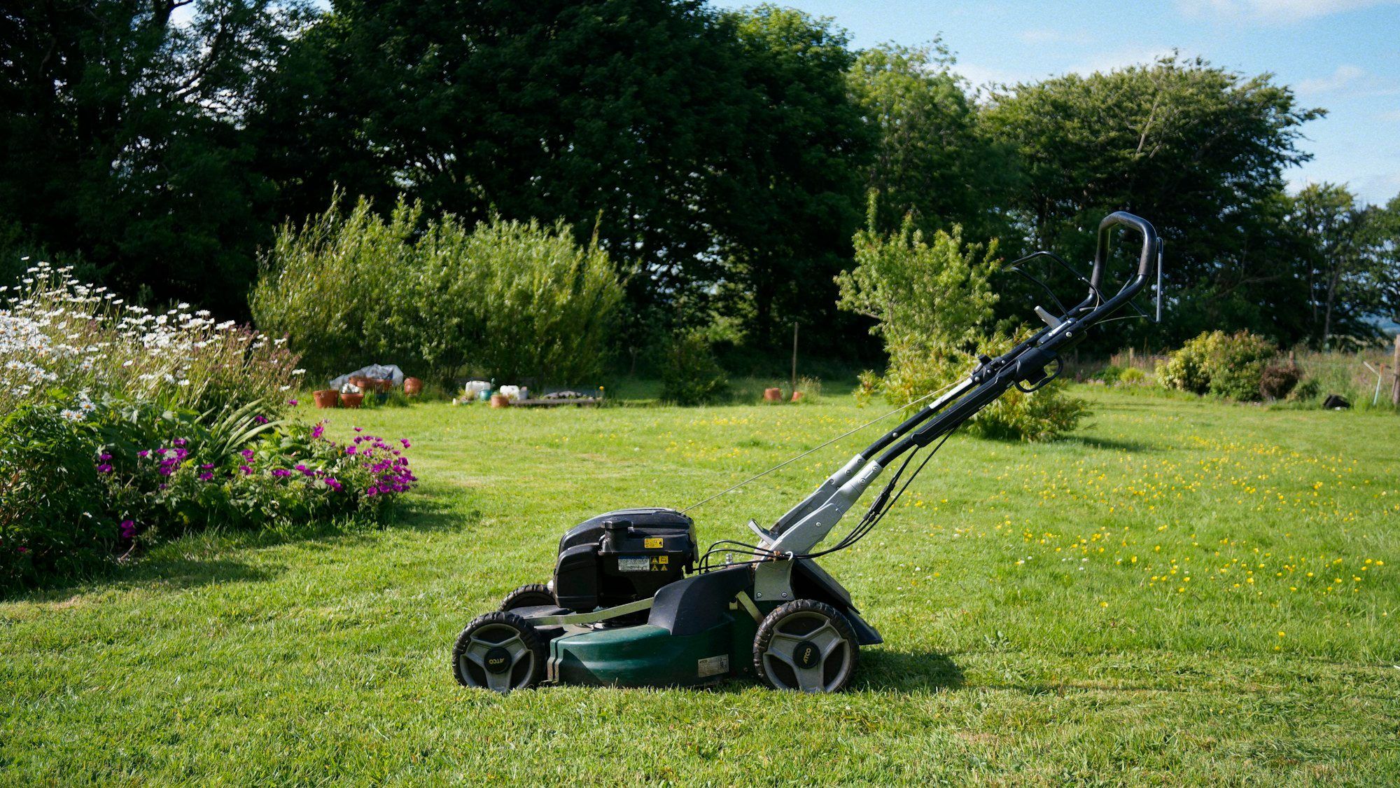 Lawn mower on a freshly cut lawn in a garden with shrubs and borders